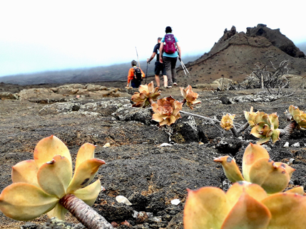 ruta-de-los-volcanes-rutas-tematicas